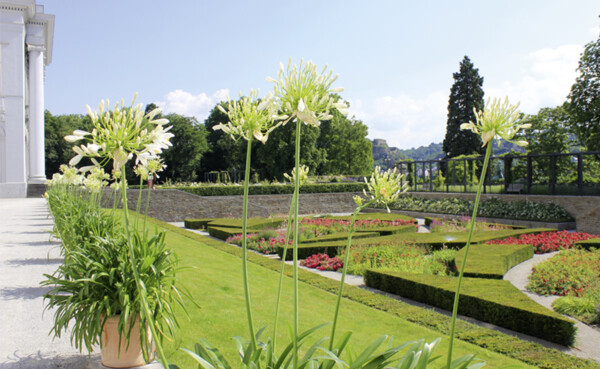 Kurfürstliches Schloss Garten © Koblenz-Touristik GmbH